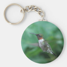 Keychain de colibri porte-clés
