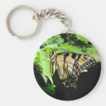 Keychain de ~ de machaon de tigre porte-clé