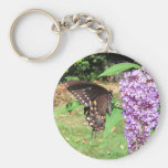 Keychain de ~ de papillon de Spicebush Porte-clefs