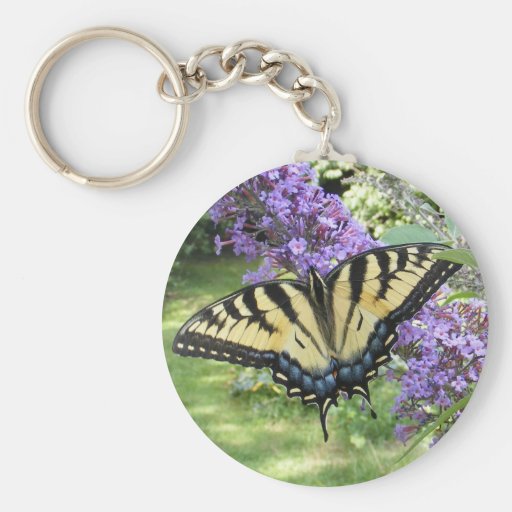 Keychain de ~ du machaon 94 porte-clés
