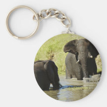 Keychain de natation d'éléphant (éléphant africain porte-clefs