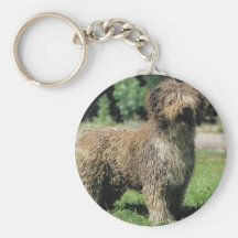 Keychain espagnol de chien d'eau porte-clefs