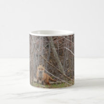 kit de renard rouge mug