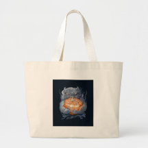 ** kitten with pumpkin ** sacs