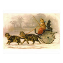 Kitty Carte Postale