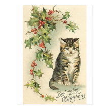 Kitty Carte Postale