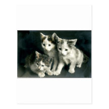 Kitty Cartes Postales