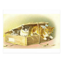 Kitty Cartes Postales