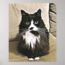 Kitty dans le repos poster
