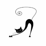 Kitty fantaisie noir 2 photo sculptures