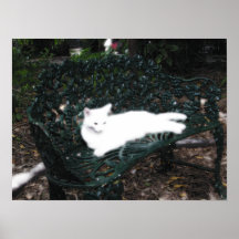 Kitty fantomatique posters