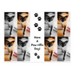 KITTY KITTY CARTE POSTALE