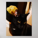 Kitty noir poster