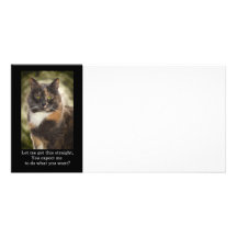 Kitty suffisant - que vous veulent ? cartes de vœux avec photo