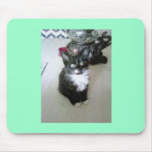 Kitty Tapis De Souris