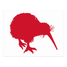 Kiwi rouge carte postale