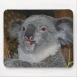 Koala amical Mousepad Tapis De Souris