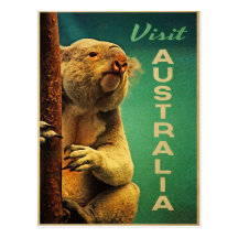 Koala de l'Australie Cartes Postales