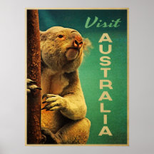 Koala de l'Australie Posters