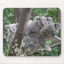 Koala de Mousepad et photo Australie de deux bébés Tapis De Souris