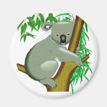 Koala - marsupial vivant d'arbre australien aimant pour réfrigérateur