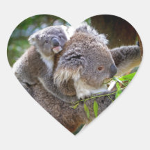 Koala mignons adhésifs