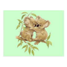 Koala mignons carte postale