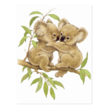 Koala mignons cartes postales