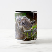 Koala mignons mugs à café