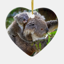 Koala mignons ornements de noël