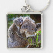 Koala mignons porte-clefs