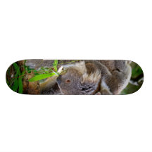 Koala mignons skateboards