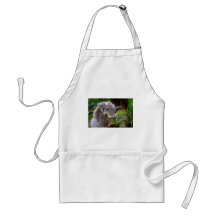 Koala mignons tabliers