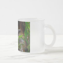 Koala mignons tasse