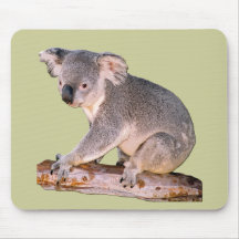 Koala Mousepadd Tapis De Souris