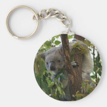 Koala Porte-clef