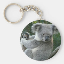 Koala Porte-clefs