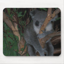 Koala Tapis De Souris