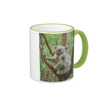 Koala Tasse