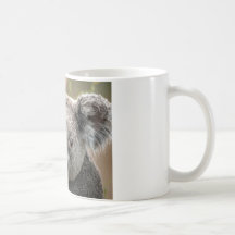 Koala Tasse À Café