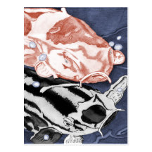 Koi (rouge et noir) cartes postales