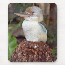 Kookaburra semblant Mousepad droit Tapis De Souris