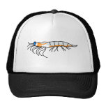krill casquettes
