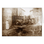 La basse-cour cartes de vœux