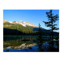 La beauté de la mère nature cartes postales