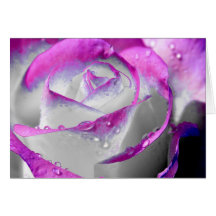 La beauté rose s'est levée carte de vœux