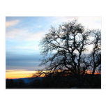 La Californie Cartes Postales