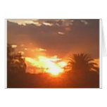 La Californie Sunin Cartes De Vœux