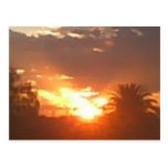 La Californie Sunin Cartes Postales