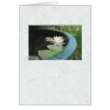 La carte de nénuphar